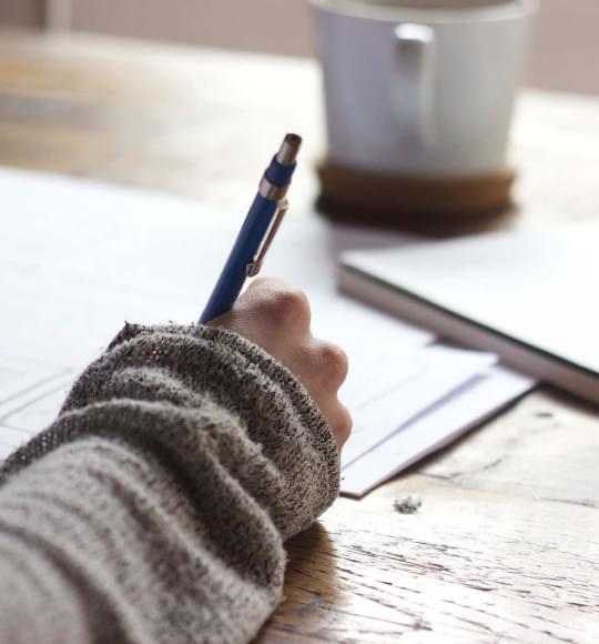 Translatinghub – Online Learning Platform